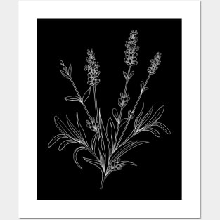 Lavender Line Art Black Background White Line Posters and Art